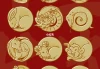生肖与，传统文化中的神秘联