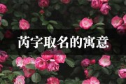 梓芮名字吉凶查询，名字学中的与意义