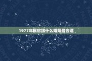 1978年生肖马龙年运势详解，运势起伏，把握机遇
