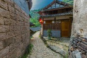 屋后种什么果树最旺？先生推荐8种果树，助力家居运势