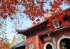 2018年栖霞寺真的能求签吗？解析历史与现代的结合