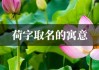 有莲字名字吉凶，解析名字背后的文化与意义