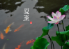 夏至生女宝宝取名，传统与现代的结合之道