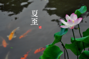 夏至生女宝宝取名，传统与现代的结合之道