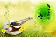 梦见催春鸟，预兆与解梦解析