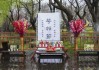 神堂花摆放的智慧