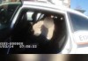 周公解梦我离家出走了什么意思，解码内心渴望与现实困境