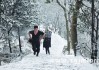 夏天梦见下雪，解读梦境背后的秘密