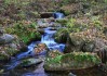岑溪，山水之间，之美