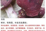 采红蘑，预兆与解梦的深层解析