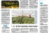 1月23日剖宫产吉时，选择剖宫产的智慧与尊重