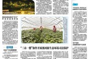 1月23日剖宫产吉时，选择剖宫产的智慧与尊重