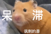 嗯，用户让我写一篇关于鼠宝宝用什么字取名最好的文章，还给了标题和内容的要求。首先，我需要确定标题，可能得考虑鼠宝宝的取名趋势，或者有什么特别的点。，内容部分要不少于894个字，所以得详细展开