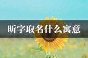 兔宝宝名字带昕如何取？创意与寓意并重的取名指南