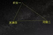 十二星座的海豚 companion，让爱与守护更温暖