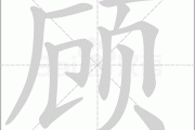 顾氏虎宝宝取名指南，传统与现代结合的智慧