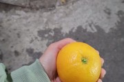 长期干旱终迎甘露 逆境深处自有生机