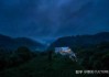 门前种松树，全靠它