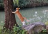 黑猫爬树，预兆与解梦的深层解析