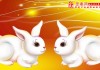 生肖兔运势解析，为您挑选男孩名字的秘诀