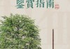 新居入伙拜神吉时，传统文化的现代诠释