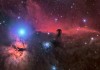 小海星，十二星座中的神秘存在