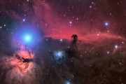 小海星，十二星座中的神秘存在