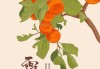 霜降时节的女宝宝取名灵感