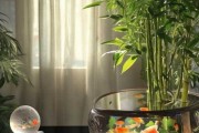 家居改善指南，摆放这些物品，让你的家焕发新气象！