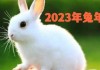2020年6月生肖兔运势解析，兔年运程如何？