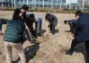 解析梦境中的拍照行为，预兆与启示