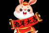 正月兔宝宝出生取名指南，新年的祝福与期待