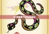 生肖蛇戴什么能提升运势？这些饰品你一定要知道！