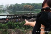 建养殖场忌讳什么