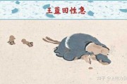 群鸡怒啄签，古代占卜智慧的象征