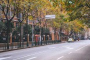 路边小鸟算命，一场现代人困境的隐喻