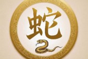 7月8日生肖蛇运势，财运亨通，事业有成，健康无忧