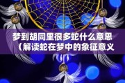 梦到打蛇，解读与应对的智慧