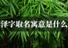 牛宝宝取名泽茗，寓意美好，寓意宝宝未来无限可能