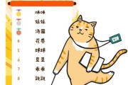 给小猫起名，如何通过吉凶查询选择一个的名字？