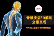 十二星座腰痛是什么原因