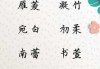 盈室，字里行间——墨字女宝宝名字的取名艺术与灵感碰撞