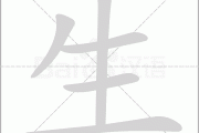 生女虎宝宝怎么取名好听