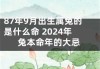 87年生肖兔运势解析，事业与感情的双丰收
