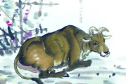 二0一八年出寅吉时，这一年，发生了什么？