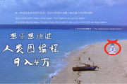 解的救赎，一只鸟的启示