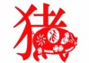 2023年10月28日生肖猪运势，事业与健康的关键时刻
