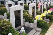 墓地养什么植物好呢？