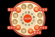 生肖蛇流年运势解析，如何在2024年找到属于自己的幸福