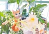 十二星座的杏色是什么